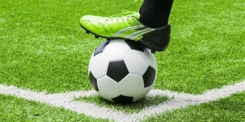 Cẩm nang đặt vào Handicap bất bại